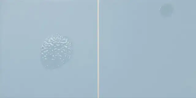 HARMONY VAHO BLUE 20х40 Q-36