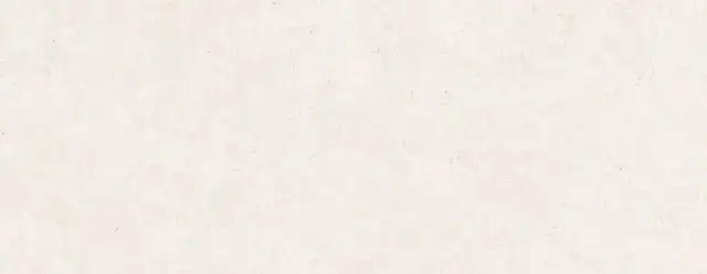 PERONDA MANHATTAN BONE SP 100х275 BN-141