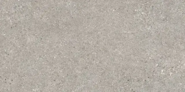 PERONDA MANHATTAN GREY AS C/R 60х120 BN-116