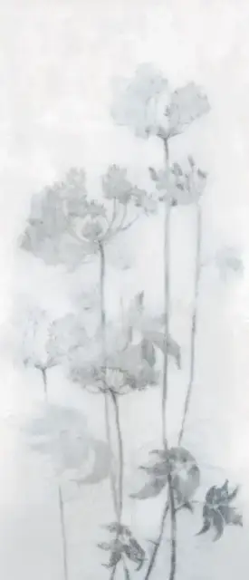 MIRAGE ESPOIR FROID LUC SQ 120х278х0.6