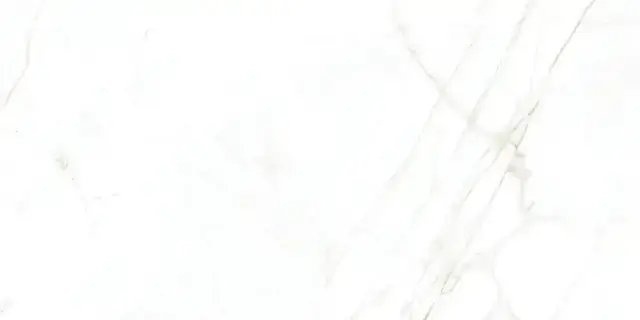 MUSEUM DUAL WHITE EP 60х120x10 M-40