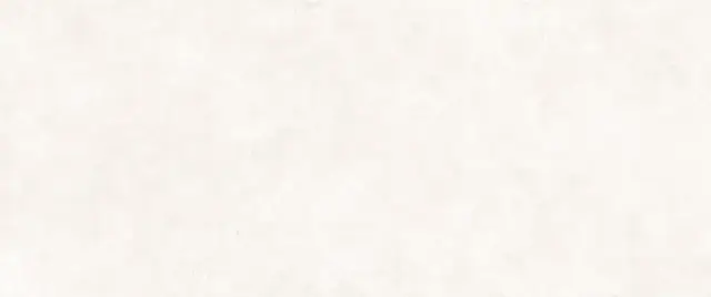 PERONDA GROUND BONE SP 100х275 BN-141