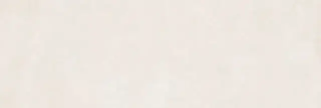 PERONDA GROUND BONE 33.3х100 BN-65