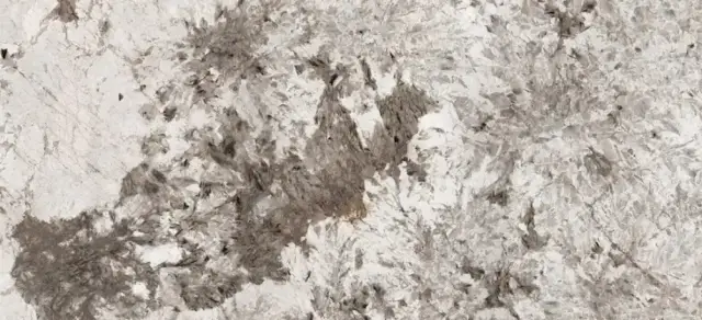 APAVISA PATAGONIA GREY POLISHED 119.3х300 G-3459