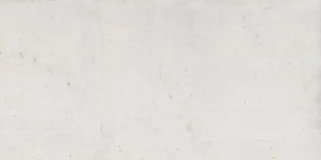 APAVISA CASSERO WHITE NATURAL 59.55х119.3х7 G-1304