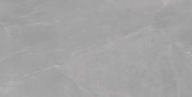 COLORKER MADISON ARGENT 59.5х119.2 M-83