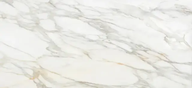 APAVISA BORGHINI WHITE POLISHED 119.3х260 G-3467