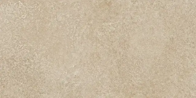 APAVISA EARTH BEIGE NATURAL 60х120х7 G-1282
