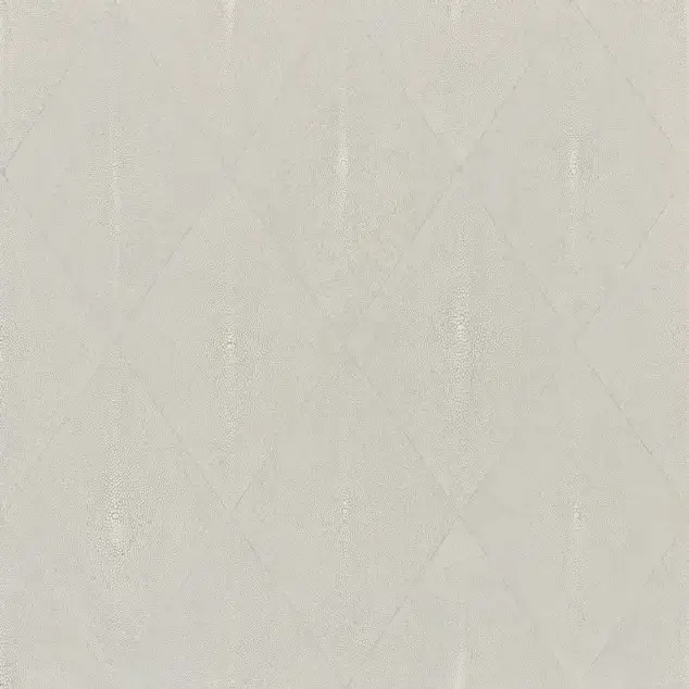 APARICI SHAGREEN WHITE LAPPATO 59.55x59.55 G-3392