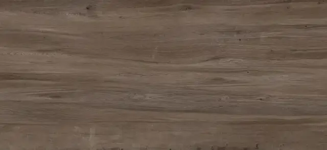 APAVISA JUNOON BROWN NATURAL 119.3х260 G-3391