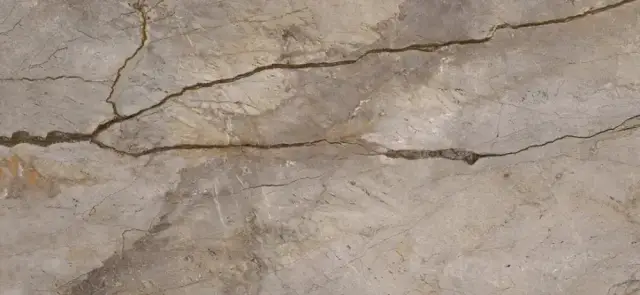 APAVISA WILD FOREST GREY POLISHED BL-B 119.3х260 G-3495