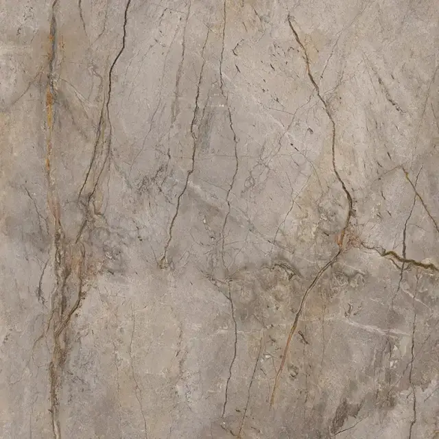 APAVISA WILD FOREST GREY POLISHED MIX 119,3х119,3 G-3459