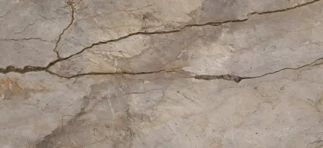 APAVISA WILD FOREST GREY NAT MIX 119.3х260 G-3397