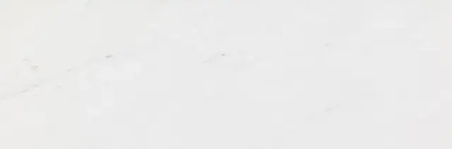 PORCELANOSA RIVOLI 33.3x100 G-261