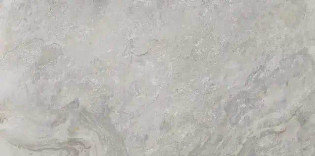 PORCELANOSA IMAGE SILVER 59.6х120 G-369