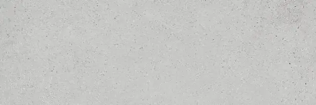 PORCELANOSA DOVER ACERO 33.3х100 G-261