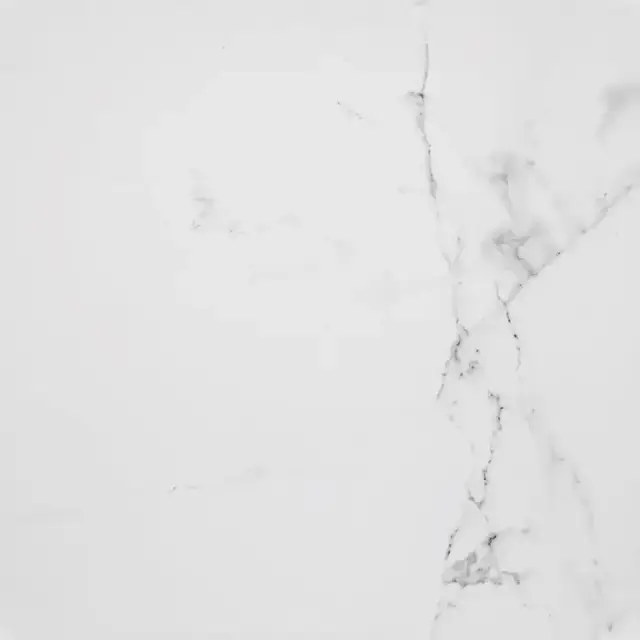 PORCELANOSA CARRARA BLANCO BRILLO L 59.6х59.6 G-347