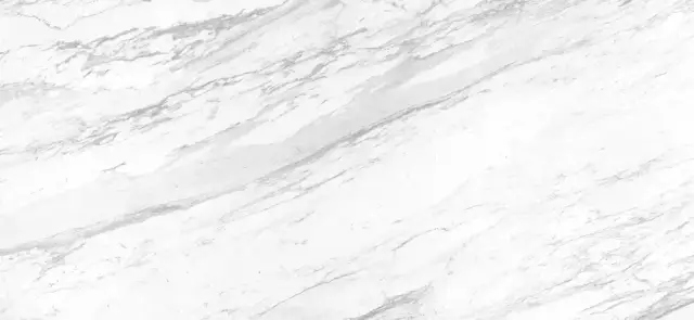 APAVISA ELEGANCE WHITE POLISHED BOOKMATCH BLOCK B 119.3x260 G-3495