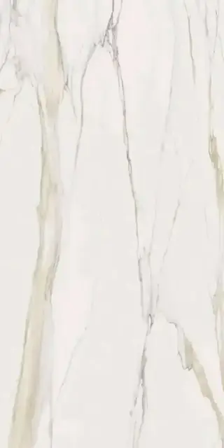 Marble Calacatta Gold A Mat. Stu 12 mm ZZ 160x320