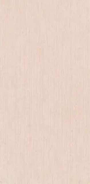 Selina Liniar Grey matt 60x120