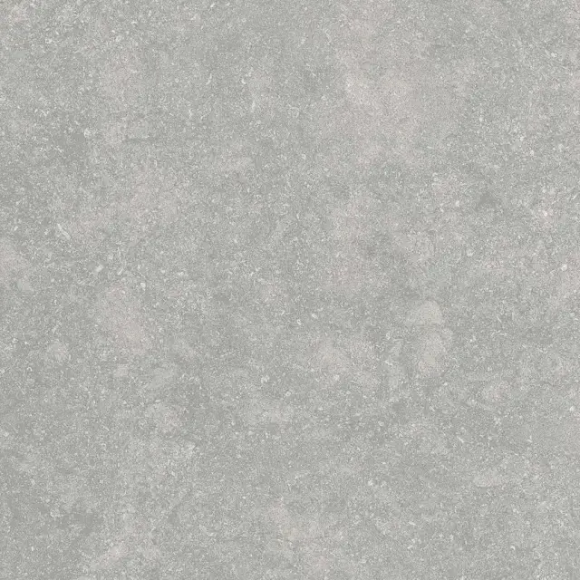 Fossil Gris 2 cm 60x60