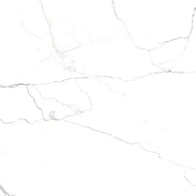 Neiva Elegan/Нейва G391 элегантный  мат.60x60