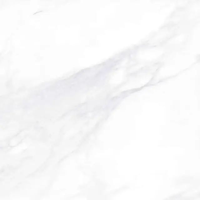 Payer Elegant G281/Пайер Элегантный полированный 60x60