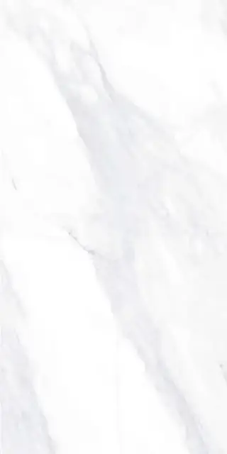 Payer Elegant G281/Пайер Элегантный мат. 60x120