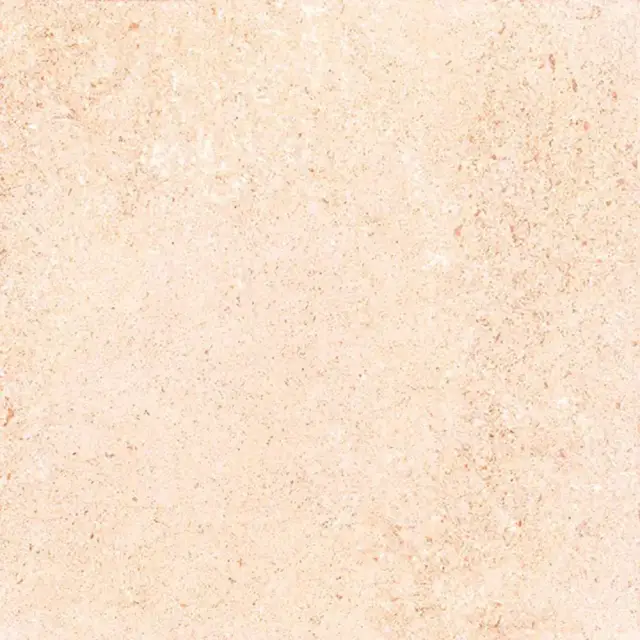 Shunut Beige G302/Шунут бежевый мат.60x60 XX