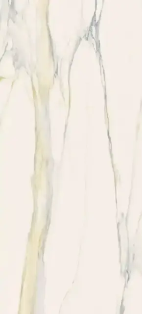 Calacatta Gold Glossy 120x280