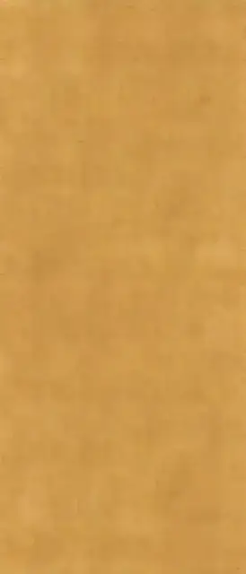 Gold Glossy ZZ 120x280