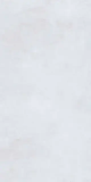 Sillent light grey 60x120