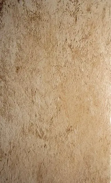 Pietra di Lecce Ambra |30x50