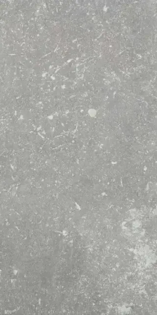 Ardenne Grigio 20x40