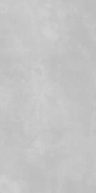 Industrial Light Grey Mat.60x120