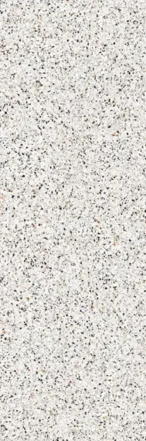 Terrazzo Bianco Venezia 5,6 mm |100x300