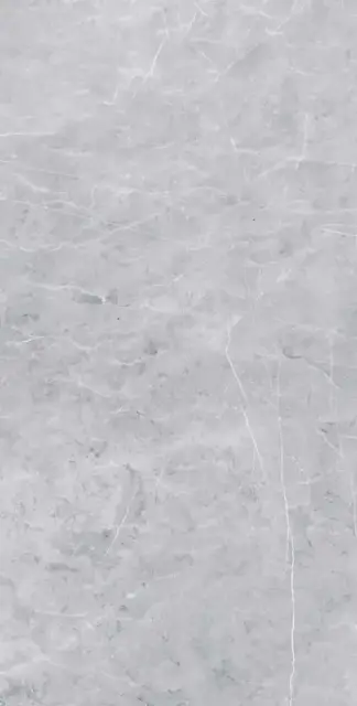 Vision 02 grey неполир. |60х120 XX