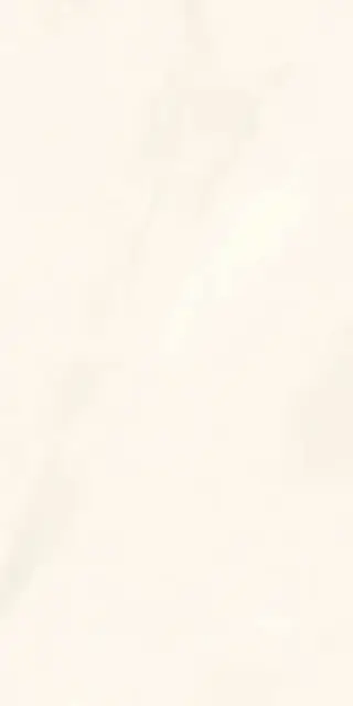 Onice Bianco Extra Lev Silk XX 60x120