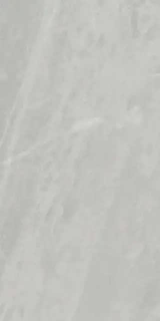 Gris De Savoie Luc |60x120