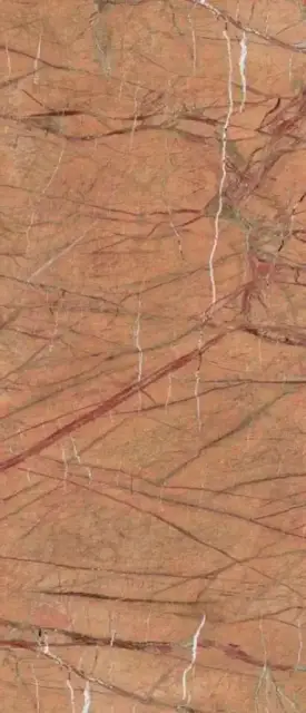 FOGOLD6 278 RM  120x278