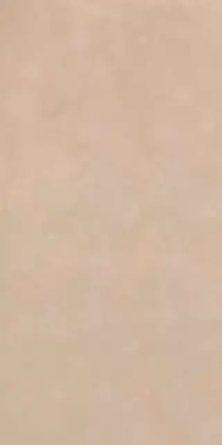 RTN6 TERRA12 RM 60x120