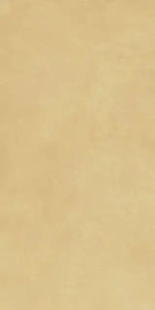 RTN6 SENAP12 RM 60x120