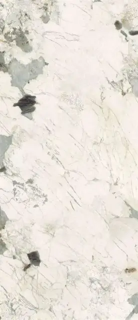 Pat Wh6 278 LP  120x278