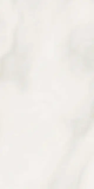 Abs Wh6 12LP |60x120