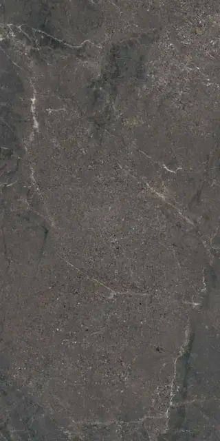 Anthology  05 Dark Natural  60x120  