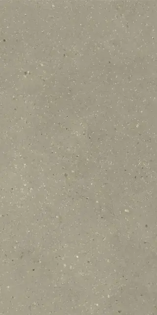 Geology Salvia 60x120