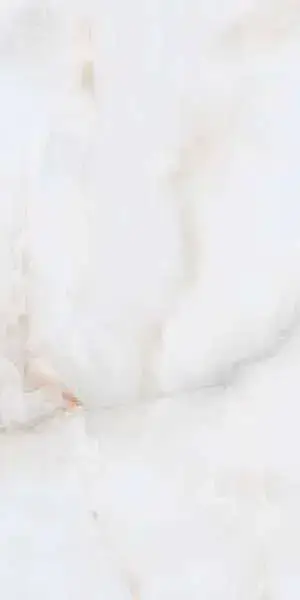 Mono Bianco XX 60x120