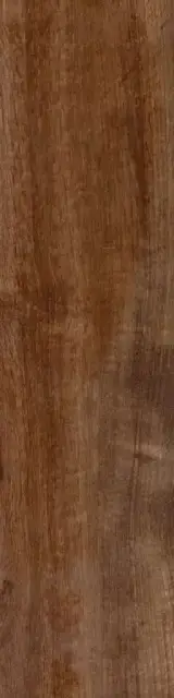 Tabula Cappuccino XX |15x61