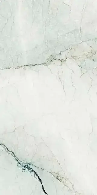 AE CAM6 278 LPM 120x278