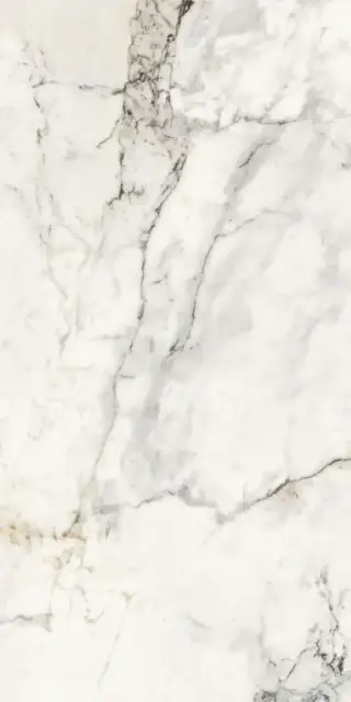 AE PAO6 12 LP |60x120